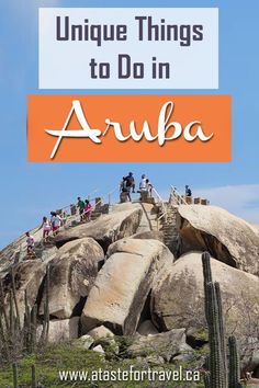 people walking up the steps to an area with cactus in the background and text overlay that reads unique things to do in aruba