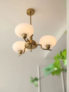 a chandelier hanging from the ceiling in a room with white walls and green plants