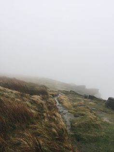 a foggy field with some grass and rocks