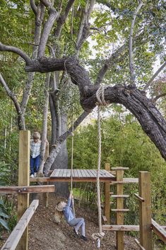 a person on a rope swing in the woods