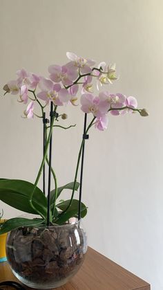 there is a glass vase with flowers in it on the table next to a plant