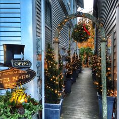 a walkway lined with potted plants covered in christmas lights and hanging from the side of buildings