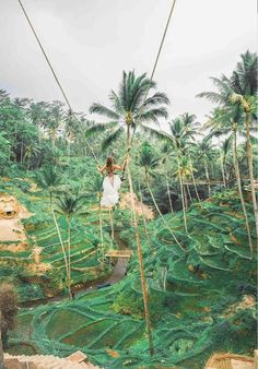 a woman on a rope in the middle of a jungle with palm trees behind her