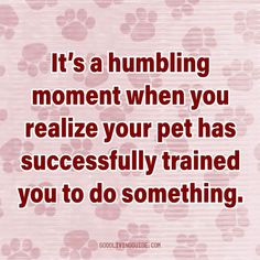 a quote that says, it's a humbling moment when you relize your pet has successfully trained you to do something