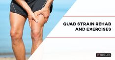 Quadriceps Anatomy, Quad Muscle, Quad Stretches, Acl Rehab, Muscle Belly, Quad Muscles, Isometric Exercises, Muscle Stretches, Quad Stretch