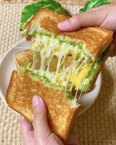 someone is holding a sandwich with cheese and guacamole on it