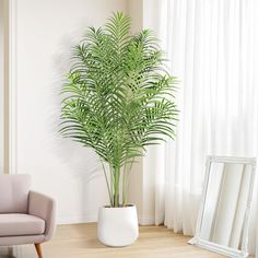 a potted plant sitting in front of a window next to a chair and mirror