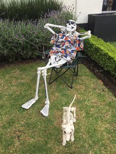 a skeleton sitting on top of a lawn chair next to a white dog laying in the grass