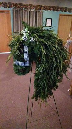 a large green plant sitting in the middle of a room