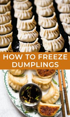 dumplings on a plate with chopsticks next to them and the title overlay reads how to freeze dumplings