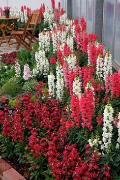 many different colored flowers in front of a building