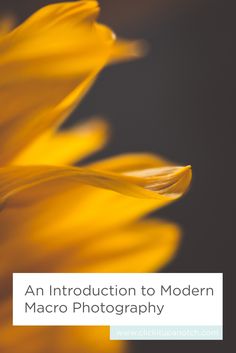 an image of a yellow flower with the words, an instruction to modern macro photography