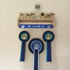 there are three blue and gold award ribbons hanging on the wall next to each other