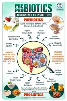 Prebiotics vs Probiotics! Prebiotics: feed good bacteria, fiber-rich foods. Probiotics: live bacteria, supplements/fermented foods. Together: gut harmony! #GutHealth #Prebiotics #Probiotics #DigestiveHealth Natural Prebiotics, Probiotics Prebiotics, Nutrition Poster, Prebiotics And Probiotics, Fiber Rich Foods, Fiber Rich, Eat To Live, Plant Fibres