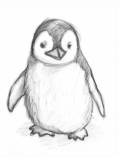 a pencil drawing of a penguin