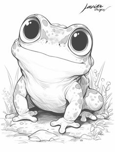 a frog with big eyes sitting on the ground