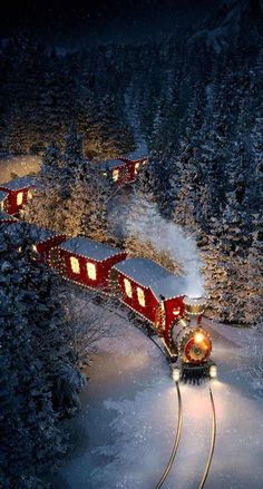 a red train traveling down tracks next to snow covered trees and evergreens at night