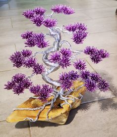 purple flowers are growing out of a piece of wood