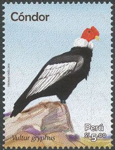 a postage stamp with a bird on top of a rock and the words condor written in spanish