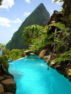 an outdoor swimming pool surrounded by greenery and mountain range in the background with blue water