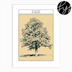 an oak tree with the word oak on it's front and bottom corner in black ink