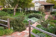 a garden with lots of plants and trees in front of a small white house on a sunny day