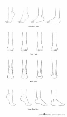 the different types of feet and ankles for each person to see in their own body