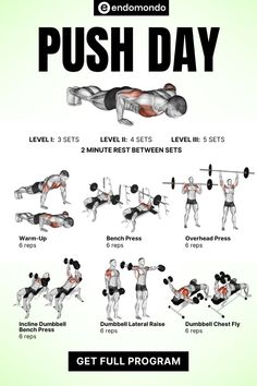 the push day poster shows how to use dumbbells