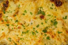 a cheesy dish with cheese and parsley on the top is ready to be eaten