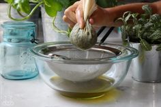 a person is pouring olive oil into a strainer and potted plant in the background