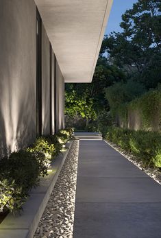 the walkway is lined with stones and plants next to a building at night, lit up by lights