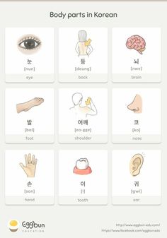 the body parts in korean and english are shown on this page, with text below