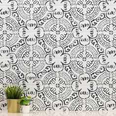 a potted plant sitting on top of a table next to a white tiled wall