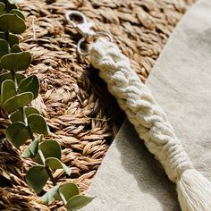 a close up of a tasseled rope on a table with plants in the background