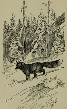 a black and white drawing of a bear walking in the woods with trees behind it