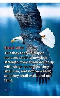 an eagle flying through the air with a bible verse on it's back ground