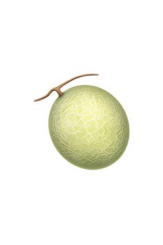 an illustration of a green apple with a leaf on it