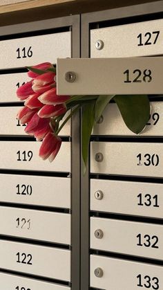 a bunch of flowers sitting on top of a mailbox with numbers and date plates