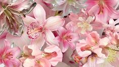 pink and white flowers are arranged together