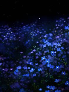 blue and purple flowers in the night sky