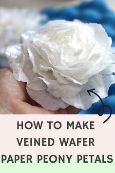 how to make a veneer wafer paper peony petal with this step - by - step instructions