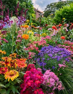 A lush cottage garden filled with colorful seasonal flowers like marigolds, phlox, and lavender, perfect for small spaces and container gardening.