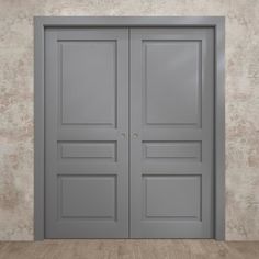 an empty room with two gray doors on the wall and wood flooring in front of it