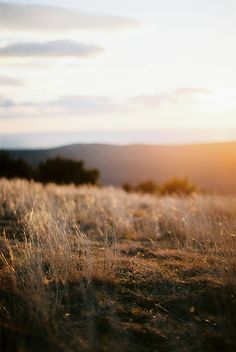 the sun is setting over an open field with tall grass and trees in the distance