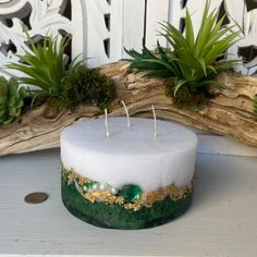 a green and white candle sitting on top of a wooden table next to some succulents