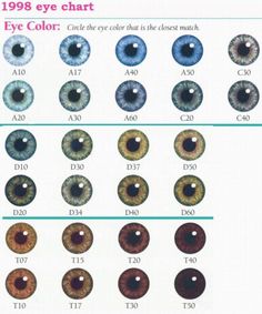 I'm A40 Eye Color Chart Genetics, Eye Color Facts, Type Chart, Trendy Eyeshadow, Eye Chart, Haircut Types, Eye Photography