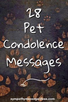 A selection of condolence and sympathy messages that can be used in a card for someone who has lost their beloved pet | #pet #condolence #sympathy Sympathy Quotes For Pets, Pet Condolences Dogs Sympathy Messages, Dog Condolences Loss Of Pet Sympathy Messages, Cat Sympathy Quotes, Sympathy For Loss Of Pet Dogs, Dog Sympathy Quotes, Dog Condolences Loss Of Pet, Pet Condolences Dogs, Cat Condolences Loss Of Pet