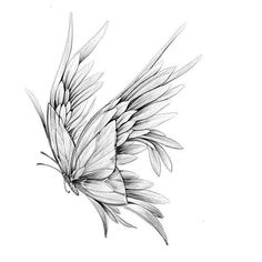 Pretty Wings Tattoo, Back Feather Tattoo Women, Feather Wing Tattoo, Flower With Wings Tattoo, Hummingbird Butterfly Tattoo, Butterfly With Angel Wings Tattoo, Half Butterfly Half Angel Wing Tattoo, Dark Arm Tattoo, Butterfly Tattoo Sketch