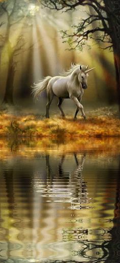 a white unicorn is walking through the woods by water with trees and grass in the background