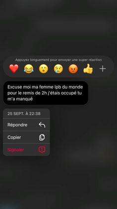 the text message is written in french and has emoticions on it, as well as two hearts